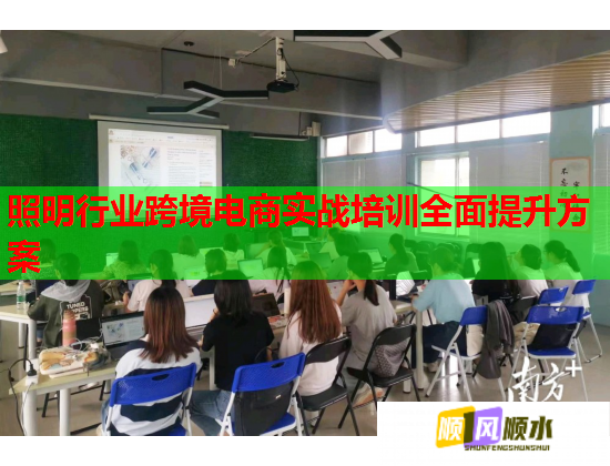 照明行业跨境电商实战培训全面提升方案  第1张