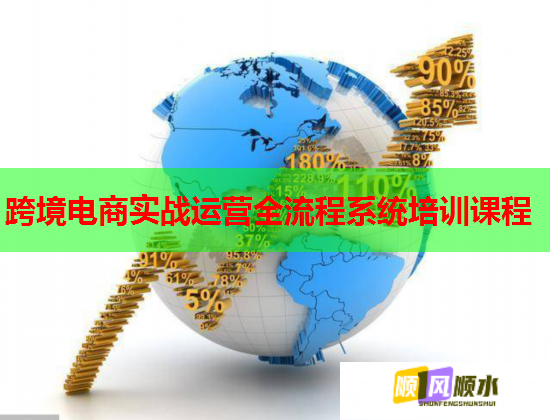 跨境电商实战运营全流程系统培训课程  第1张