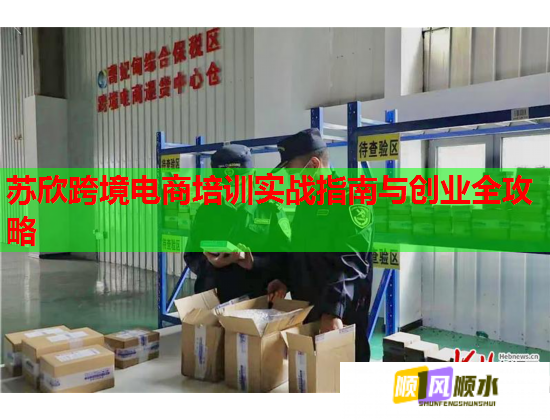 苏欣跨境电商培训实战指南与创业全攻略  第1张
