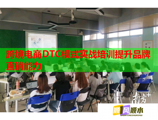 跨境电商DTC模式实战培训提升品牌直销能力  第1张