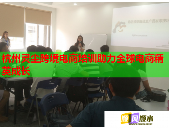 杭州灵尘跨境电商培训助力全球电商精英成长  第1张