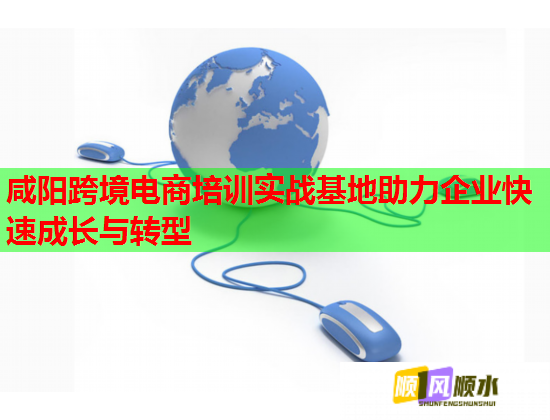 咸阳跨境电商培训实战基地助力企业快速成长与转型  第1张