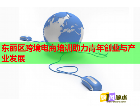 东丽区跨境电商培训助力青年创业与产业发展  第1张