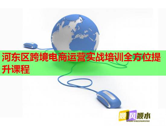 河东区跨境电商运营实战培训全方位提升课程  第1张