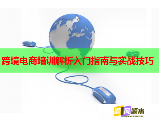 跨境电商培训解析入门指南与实战技巧  第1张