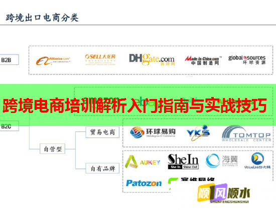 跨境电商培训解析入门指南与实战技巧  第2张