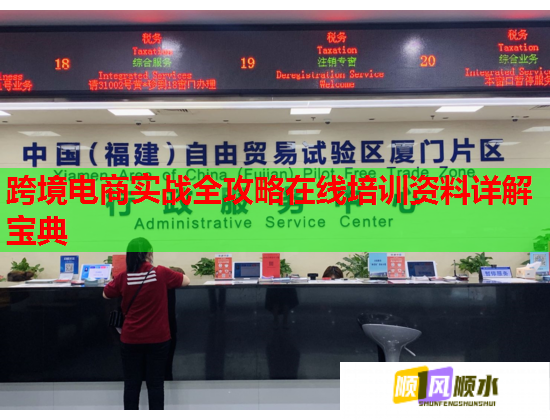 跨境电商实战全攻略在线培训资料详解宝典  第1张