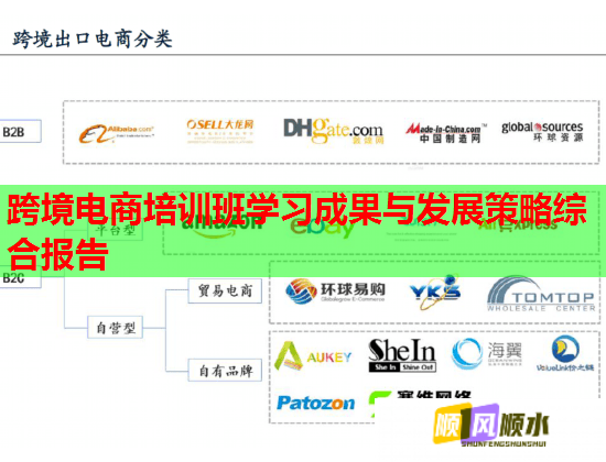 跨境电商培训班学习成果与发展策略综合报告  第1张