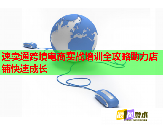速卖通跨境电商实战培训全攻略助力店铺快速成长  第1张