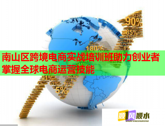 南山区跨境电商实战培训班助力创业者掌握全球电商运营技能  第1张