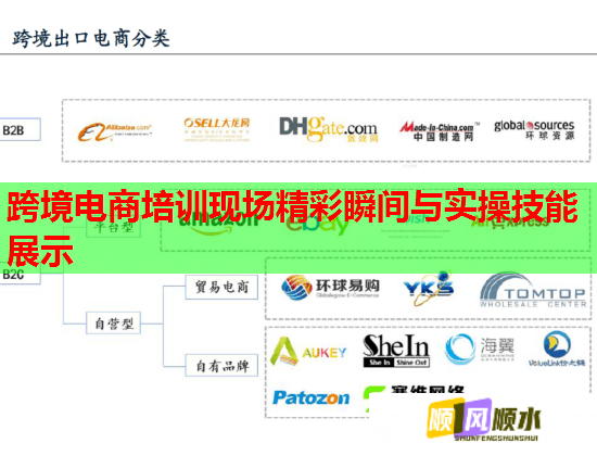 跨境电商培训现场精彩瞬间与实操技能展示  第3张