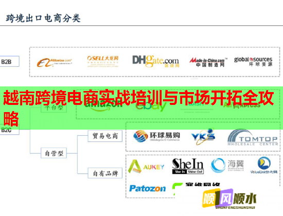 越南跨境电商实战培训与市场开拓全攻略  第2张