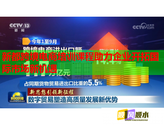 新都跨境电商培训课程助力企业开拓国际市场新机遇
