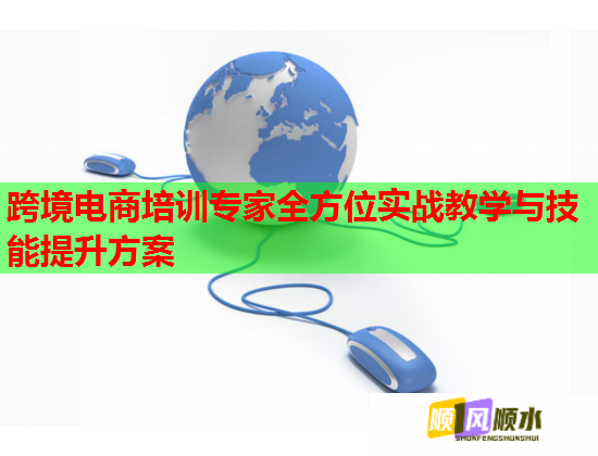 跨境电商培训专家全方位实战教学与技能提升方案  第2张