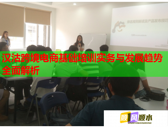 汉沽跨境电商基础培训实务与发展趋势全面解析