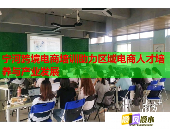 宁河跨境电商培训助力区域电商人才培养与产业发展  第2张