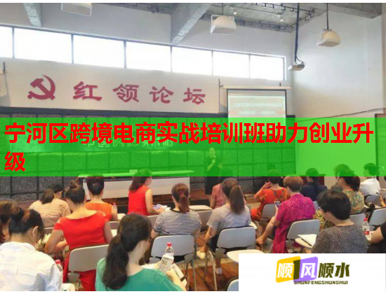 宁河区跨境电商实战培训班助力创业升级  第2张