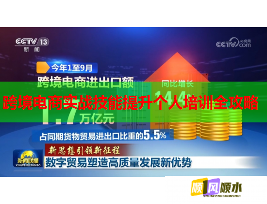 跨境电商实战技能提升个人培训全攻略  第3张