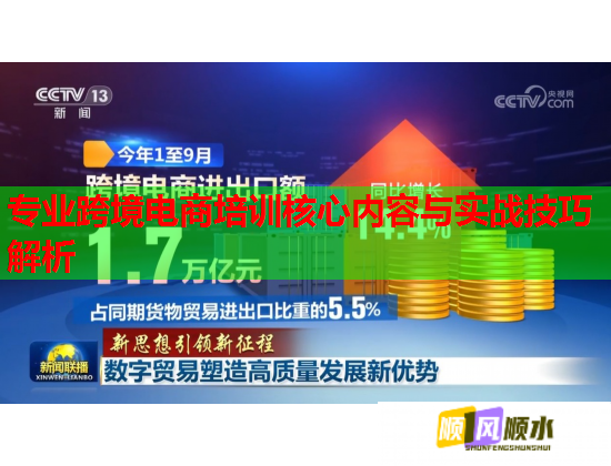 专业跨境电商培训核心内容与实战技巧解析  第2张