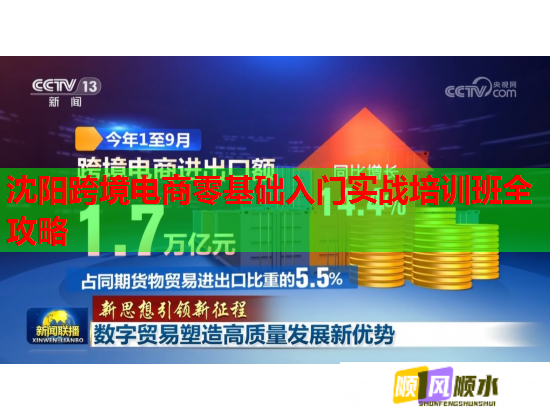 沈阳跨境电商零基础入门实战培训班全攻略  第3张