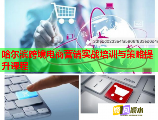 哈尔滨跨境电商营销实战培训与策略提升课程  第2张