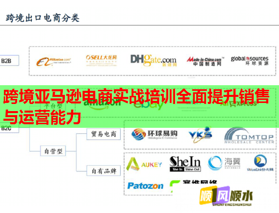 跨境亚马逊电商实战培训全面提升销售与运营能力