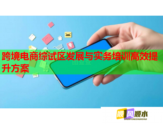 跨境电商综试区发展与实务培训高效提升方案