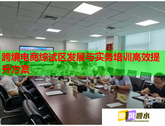 跨境电商综试区发展与实务培训高效提升方案  第2张