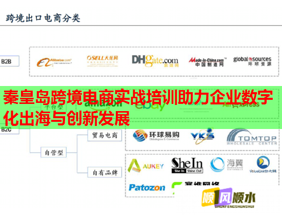 秦皇岛跨境电商实战培训助力企业数字化出海与创新发展