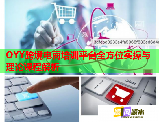 OYY跨境电商培训平台全方位实操与理论课程解析  第1张