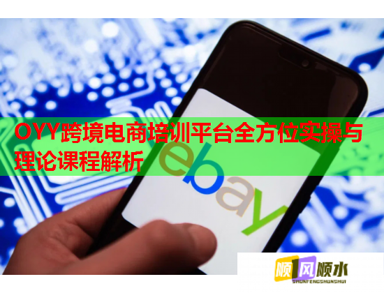OYY跨境电商培训平台全方位实操与理论课程解析  第2张