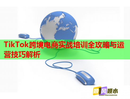 TikTok跨境电商实战培训全攻略与运营技巧解析