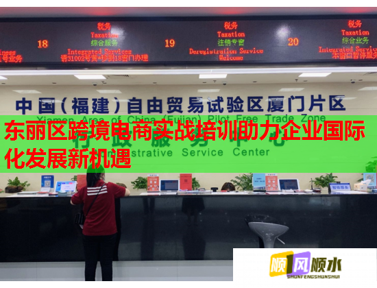 东丽区跨境电商实战培训助力企业国际化发展新机遇  第1张