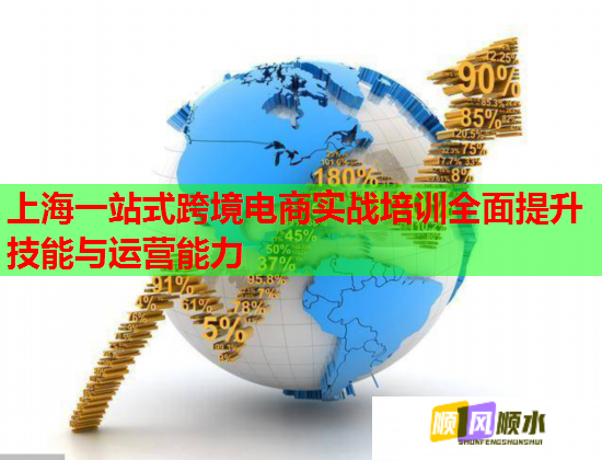 上海一站式跨境电商实战培训全面提升技能与运营能力  第1张