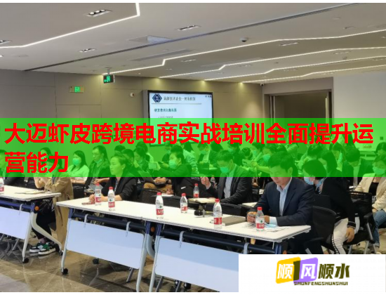 大迈虾皮跨境电商实战培训全面提升运营能力  第2张 大迈虾皮跨境电商实战培训全面提升运营能力  第2张