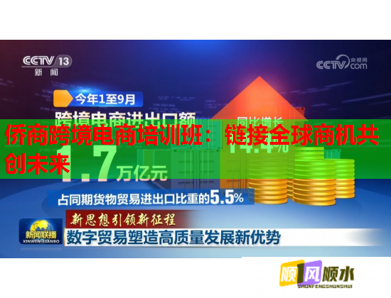 侨商跨境电商培训班：链接全球商机共创未来