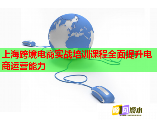 上海跨境电商实战培训课程全面提升电商运营能力